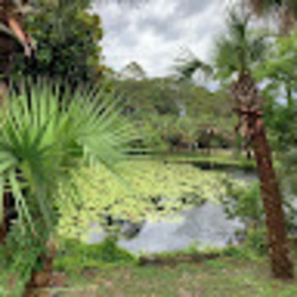 Profile Picture of Emma Marschel (@emmarschel) on Poshmark