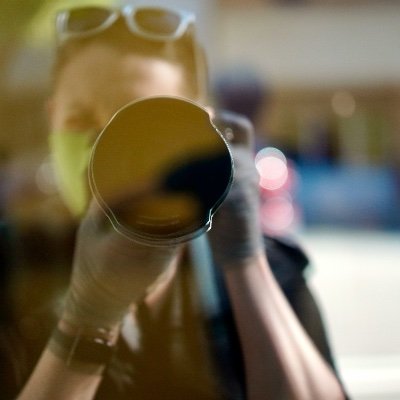 Profile Picture of Stephanie Wolf (@StephRWolf) on Twitter