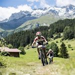 Profile Picture of Vaidas Maceikis (@vaidasmaceikis) on Instagram
