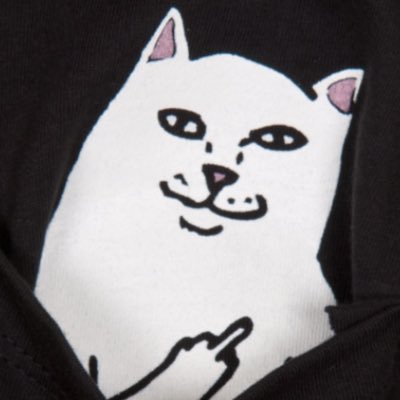 Profile Picture of Mike Alagna (@mike_alagna23) on Twitter