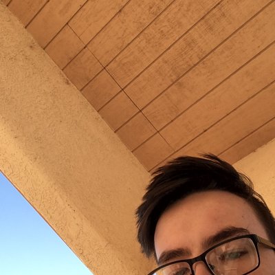 Profile Picture of Lucas McNutt (@PolyglotSquid) on Twitter