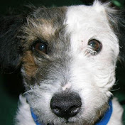 Profile Picture of Juan Jauregui (@VegasChessClub) on Youtube