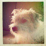 Profile Picture of Matias Neuberth Frogner (@matiasnfrogner) on Instagram