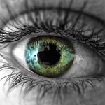 Profile Picture of Chris Perricone (@christopherperricone) on Instagram