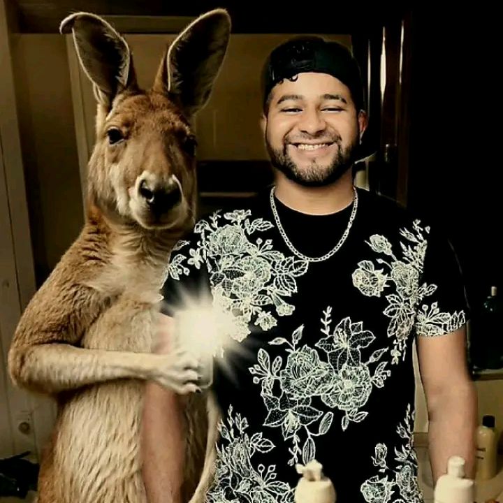 Profile Picture of Ivan Antony Lopez (@iantonny) on Tiktok