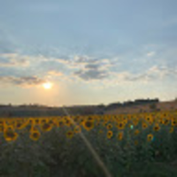 Madalyn Gerzsenyi - Poshmark Profile Picture of Madalyn Gerzsenyi (@m_gerzsenyi) on Poshmark