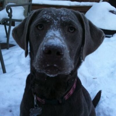 Profile Picture of Dan Drewry (@PUdmd) on Twitter