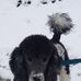 Profile Picture of Gordon Spoor (@gordon.spoor.1) on Facebook
