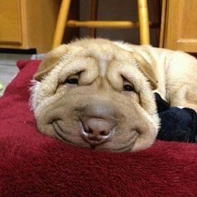 Profile Picture of Marcella Rosales (@Maarcyy) on Pinterest