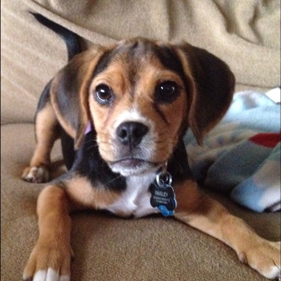 Profile Picture of Laura Krupicka (@lknurse) on Poshmark