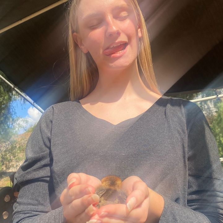 Profile Picture of Bella Alspaugh (@sswaggyybellaa) on Tiktok