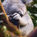 Profile Picture of Alice Griffiths (@alicegriffiths3) on Pinterest