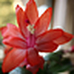 Profile Picture of Golnar : ) (@golnar : )) on Flickr