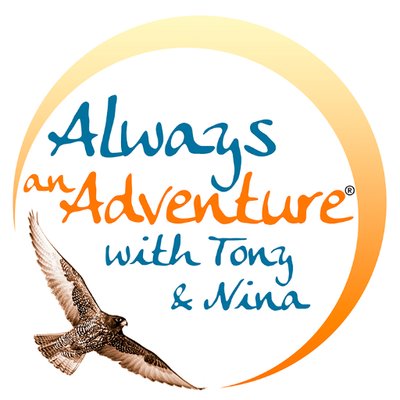 Profile Picture of Always An Adventure® (@Tony_Nina) on Twitter