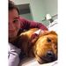 Profile Picture of Michael Cullis (@cullis0623) on Pinterest