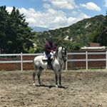 Profile Picture of Pepe Ayala (@ppayala02) on Instagram