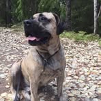 Profile Picture of Maria Söderlund (@maria.soderlund.7127) on Facebook