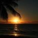 Profile Picture of Joseph AndJo Cora (@jaroc1) on Pinterest
