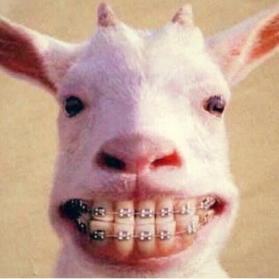 Profile Picture of Kokuma (@JipssenMulsen) on Twitter