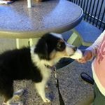 Profile Picture of Joey Gunn (@joeygunn1958) on Instagram