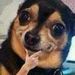 Profile Picture of Anna Uvalle (@annau0990) on Pinterest
