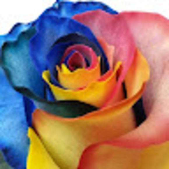 Profile Picture of Maria Bardas (@mariab_r) on Poshmark