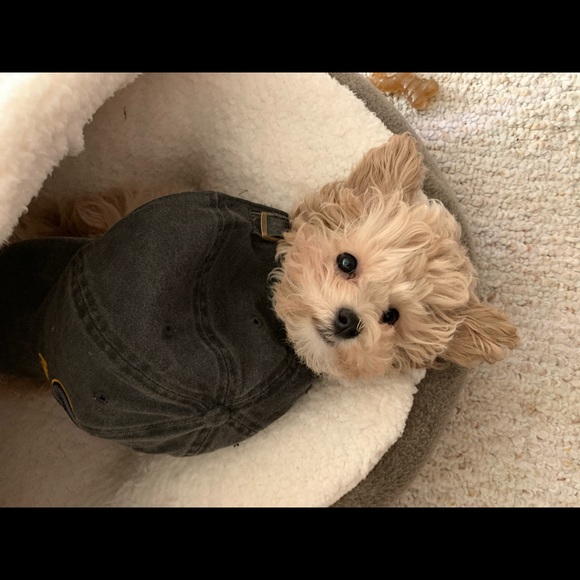 Profile Picture of Micah Wheeler (@micwhee) on Poshmark