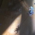 Profile Picture of Andrew Cancellieri (@andrewcancellieri) on Instagram