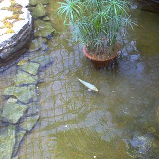 Profile Picture of Gabriella Blake (@gabriella.blake.33) on Facebook