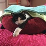 Profile Picture of Lily Violet Olson (@lilyolson.29) on Instagram