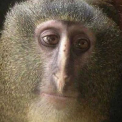 Profile Picture of Stephie Feetdoor (@SteveFedor4) on Twitter