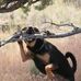 Profile Picture of Joe Knight (@joe.knight.562) on Facebook