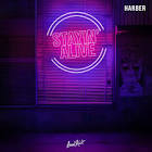 Profile Picture of   🖤inst:ddfamaly🖤 | mit... (@ddfamaly) on Tiktok