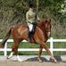 Profile Picture of Debra Stapleton (@debra.stapleton.520) on Facebook