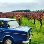 Profile Picture of Knut Erik Abrahamsen (@wineandmind) on Instagram