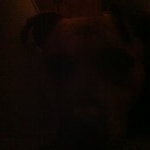 Profile Picture of Hi (@david__ryans) on Instagram