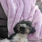 Profile Picture of Alexander Szewczuk (@Alexander-Szewczuk) on Facebook