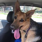 Profile Picture of Pamela Basanisi (@pam_elina) on Instagram