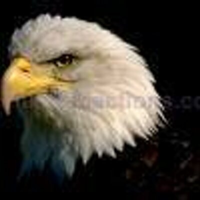 Profile Picture of Joseph Antoine (@jaque_anto10) on Twitter