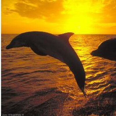 Profile Picture of Isabel Cullen (@www_cullen) on Twitter