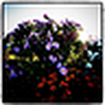 Profile Picture of Daisuke Masuyama (@ilandman_jp) on Flickr