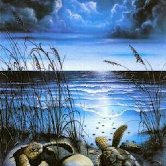 Tabatha Carter - Poshmark Profile Picture of Tabatha Carter (@bigbabytab) on Poshmark