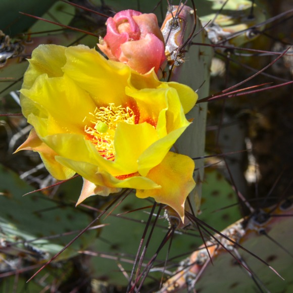 Lauren Zajicek - Poshmark Profile Picture of Lauren Zajicek (@laurenalyse546) on Poshmark