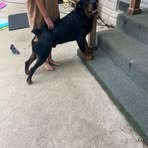 Profile Picture of Mrr Edward Priest (@Mrr-Edward-Priest) on Facebook