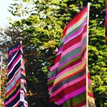 Profile Picture of peter carrington (@petercarrington_) on Instagram