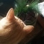 Profile Picture of Miriam Hamerlinck (@miriamhamerlinck) on Instagram