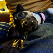 Profile Picture of Alex Neville (@AlexNeville) on Youtube