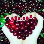 Profile Picture of Bashar Ahmad (@ahmadbashar468) on Instagram