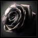 Profile Picture of Jian Zou (@heaven19901937) on Pinterest
