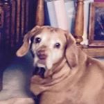 Profile Picture of David Engebretson (@engebretsondavid) on Instagram